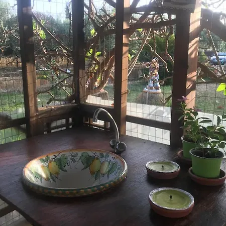 Il Giardino Di Athena *