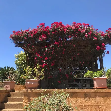 Il Giardino Di Athena Vista Valle Dei Templi