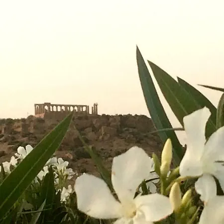 Il Giardino Di Athena Vista Valle Dei Templi *