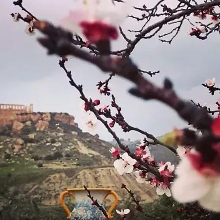 Il Giardino Di Athena Vista Valle Dei Templi *